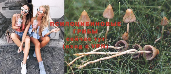 мяу мяу мука Армянск