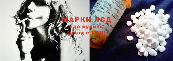 гашик Арсеньев