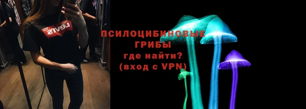 гашик Арсеньев