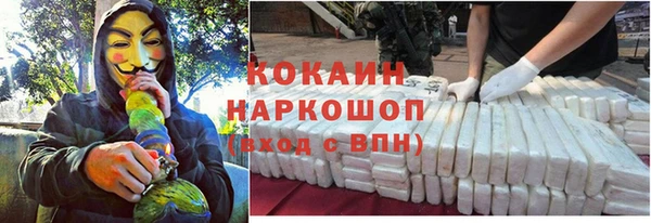 гашик Арсеньев