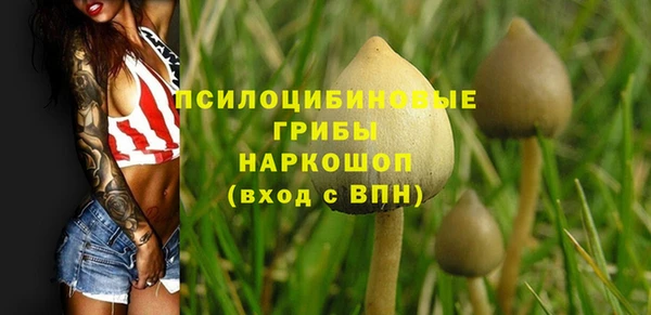 гашишное масло Аркадак