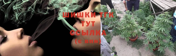 гашик Арсеньев
