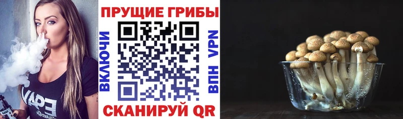 Псилоцибиновые грибы Magic Shrooms  Магас 